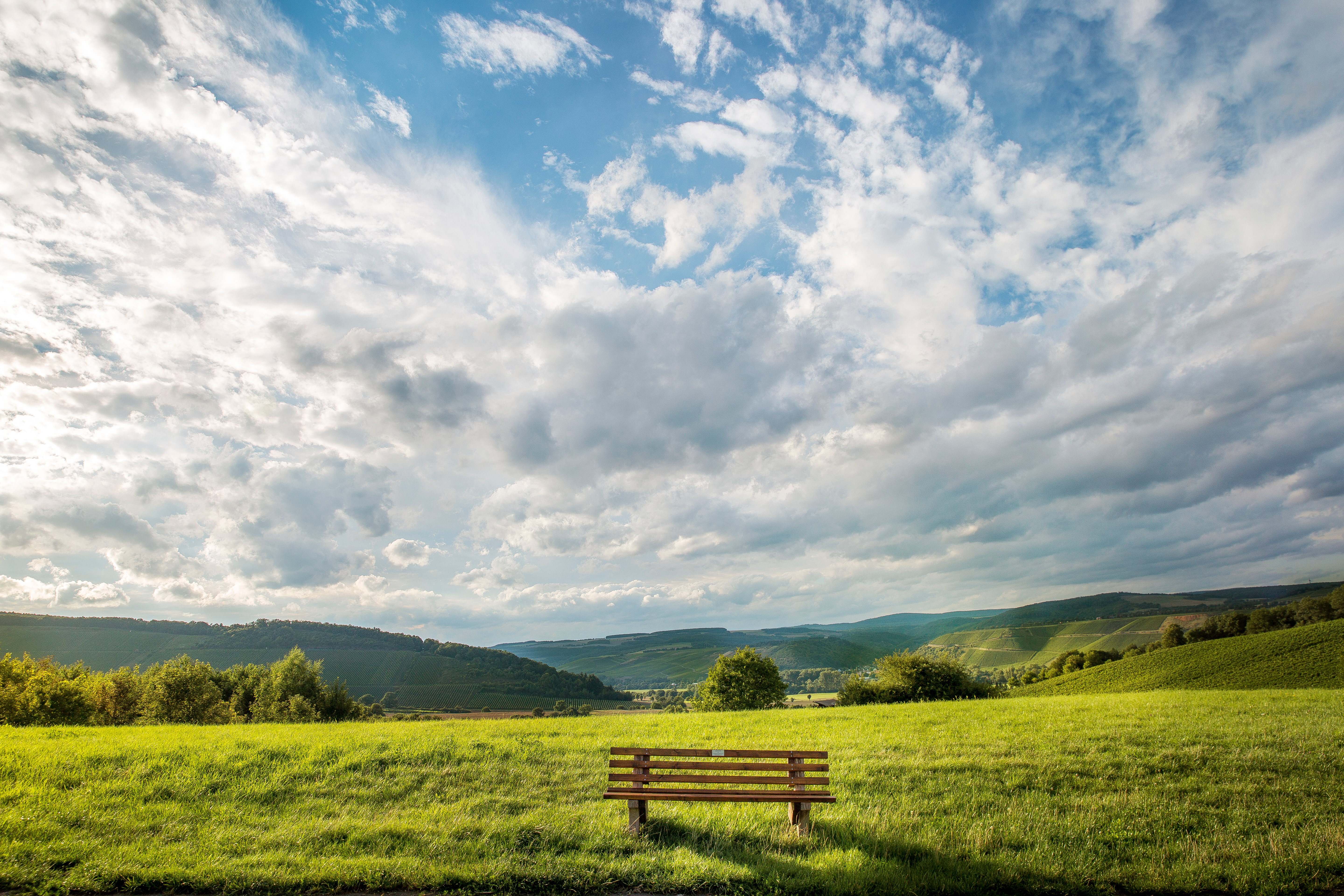 grüne Wiese mit einer Bank, im Hintergrund sanfte Hügel und blauer Himmel