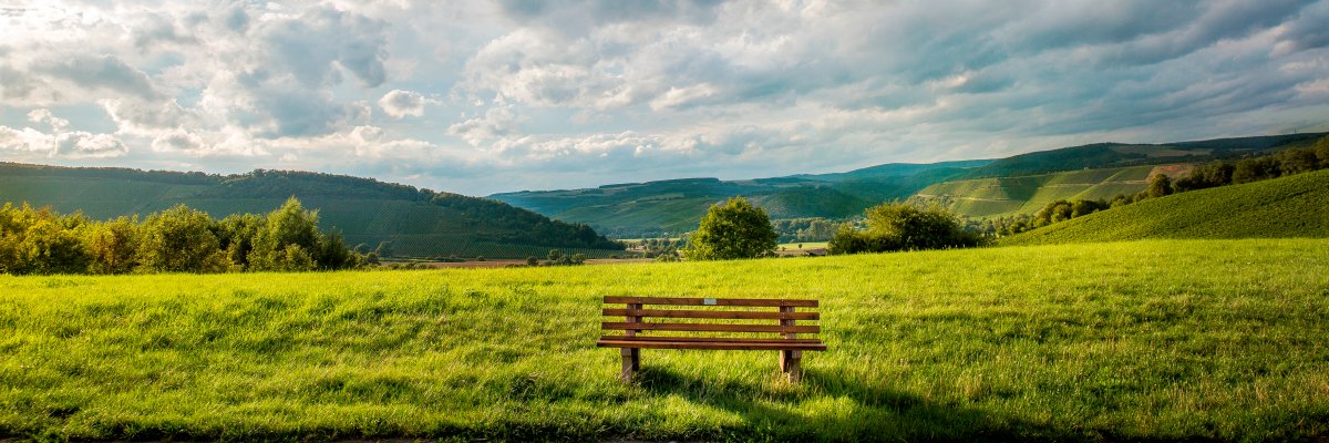 grüne Wiese mit einer Bank, im Hintergrund sanfte Hügel und blauer Himmel