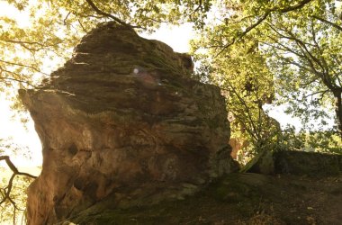 Nahaufnahme an einem wolkenlosen sonnigen Tag. Zwei verschlungene rotgraue Felsen umrahmt und teilweise überwachsen von grünbelaubten Bäumen und Sträuchern.