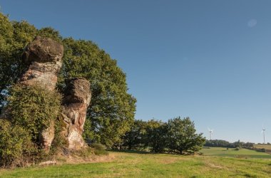 Foto an einem wolkenlosen sonnigen Tag. Im linken Bildbereich zwei verschlungene rotgraue Felsen umrahmt und teilweise überwachsen von grünbelaubten Bäumen und Sträuchern.