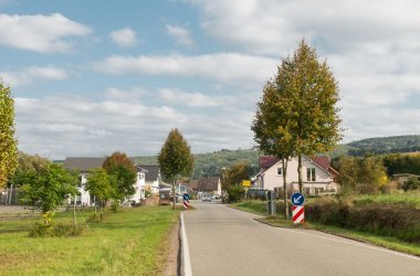 Foto des Ortseingangs der Ortsgemeinde  Breitenheim. Wiesen, Sträucher und Bäume am Ortsrand.