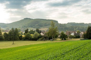 Foto einer kleinen Siedlung etwas vertieft, naturumschlossen in einer grünen Feld- und Wiesenlandschaft mit nur wenigen Bäumen und Sträuchern liegend bei kaum bewölktem Himmel.