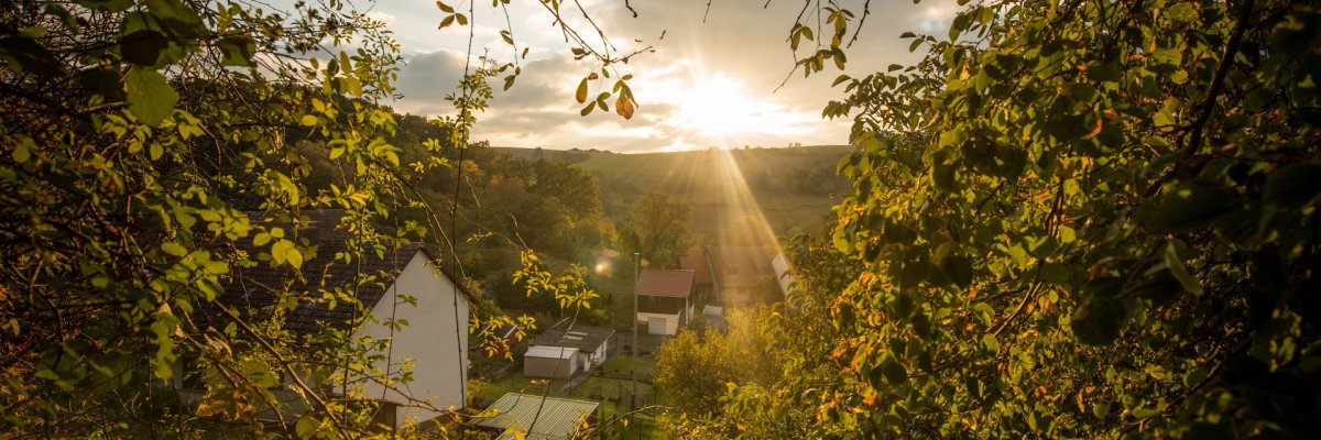 Ortsgemeinde Callbach