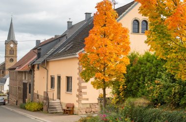 Foto entlang einer Straße zwischen Häuserreihen in Richtung einer Kirche. Im vorderen rechten Bildbereich zwei herbstlaubgefärbte Bäume vor einer hohen grünen Hecke.