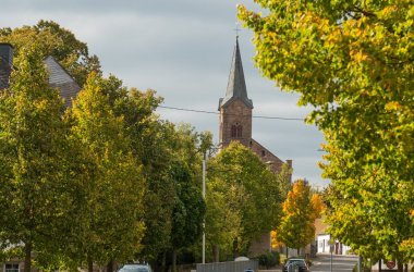 Foto einer grünbelaubten Allee. Im Hintergrund ein historisches Gebäude und Teile einer Kirche.