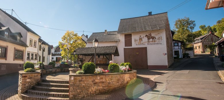Foto eines Brunnens auf einem runden, erhöhten, kleinen, niedrig ummauerten Platz zwischen Straßen und historischen Gebäuden vor einer Bushaltestelle mit Wartehaus.