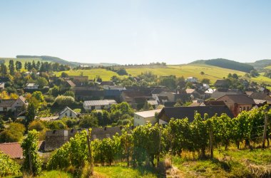 Foto einer kleinen Siedlung etwas vertieft, naturumschlossen hinter einem Wingert in einer grünen leicht hügeligen Feld- und Wiesenlandschaft mit nur wenigen Bäumen und Sträuchern liegend bei kaum bewölktem Himmel.