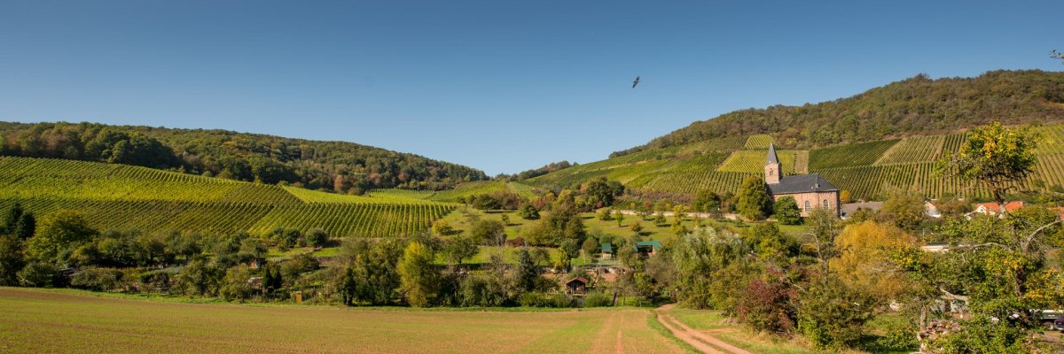 Ortsgemeinde Kirschroth