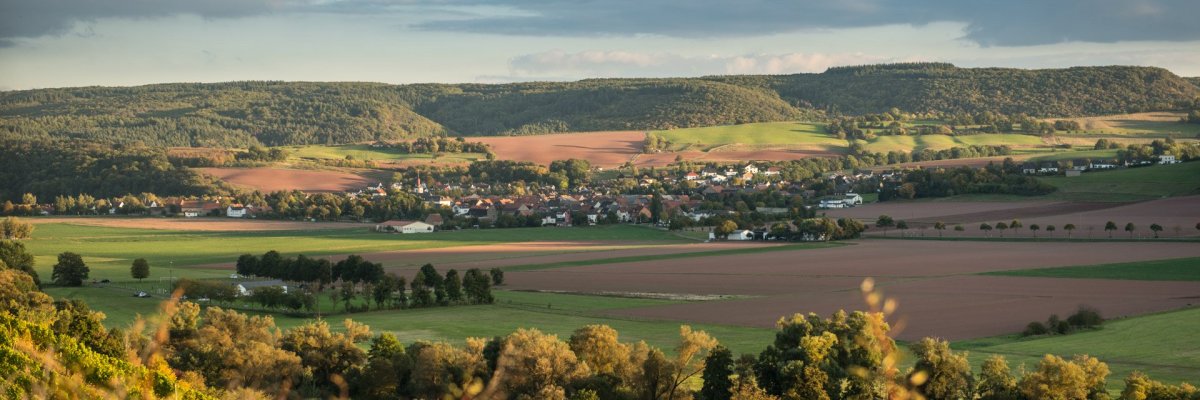 Ortsgemeinde Meddersheim