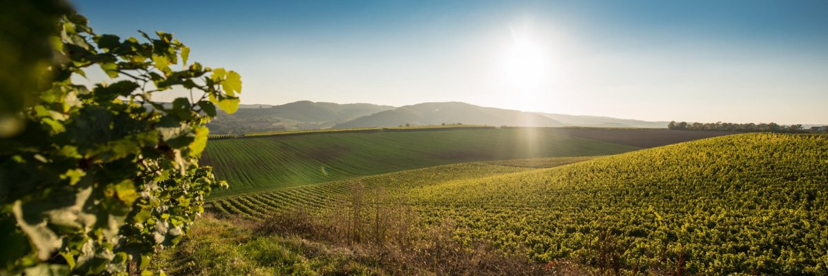 Ortsgemeinde Nußbaum