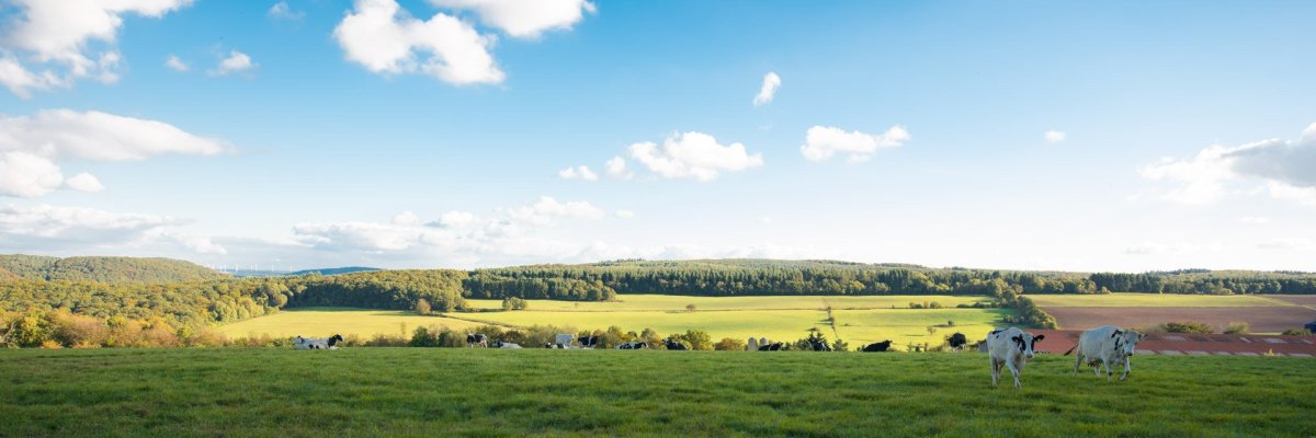 Ortsgemeinde Rehbach