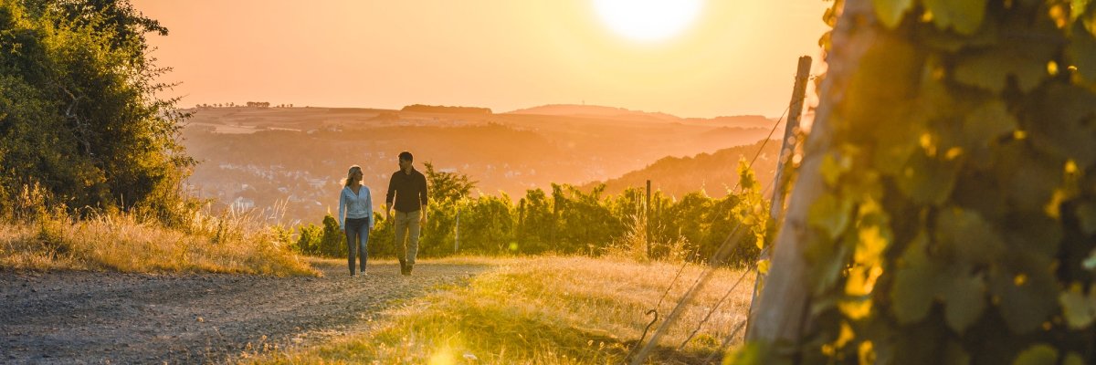 Rückansicht von Frau und Mann spazierend auf einem Wirtschaftsweg durch die Weinberge