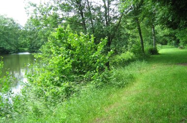 Winchendeller Weiher mit grüner Wiese